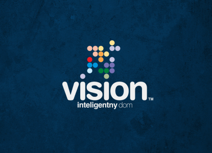 vision system